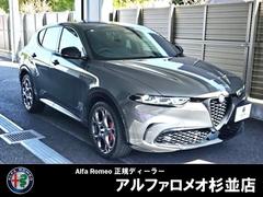 ����ե����ᥪ���ȥʡ��졡�ϥ��֥�åɡ�����롼�ե��ǥ�����󡡸���֡��ѥΥ�ޥ��饹����롼��