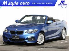 �£ͣס������꡼�����������饫�֥ꥪ�졡�ͥ��ݡ���