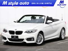�£ͣס������꡼�����������饫�֥ꥪ�졡�ͥ��ݡ��ġ����ͷڸ��֥졼���������ȡ�������������