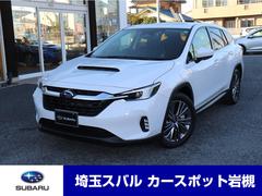 ���Х롡��������� �쥤�Хå�����ߥƥåɣţ�