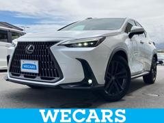 �쥯�������Σء����ףġ��Σأ�������С������̡��������ʥ�