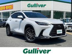 �쥯�������Σء��Σأ����������������ģ����ե륻�����£�