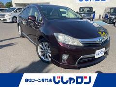 �ӣ��� �ǡ��ġ���󥰥��쥯�����