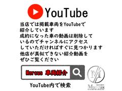 �ӣ̣ҥޥ��顼��� �������������ǥ����顼�֡��ե륨���������ȥ졼�ȥޥե顼���ʥӣԣ� 9510011A30250704W002 2