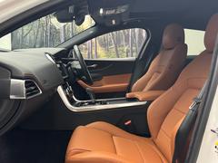 �֥饦��쥶�����꡼�դ��ѥ�����ȡ��ҡ������� 6