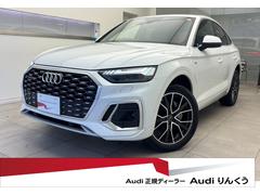 �����ǥ����ѣ����ݡ��ĥХå��������ԣģɥ���ȥ����ӥ饤�󡡥ѥΥ�ޥ���롼�ա��ӣ����ģ��������ţ�������Уˣ�