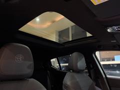 �ȥʡ��� �ץ饰����ϥ��֥�åɣѣ�������롼�ե��ǥ�����󡡸���֡�����롼�ա������ʥ� 9571681A30250828W002 5