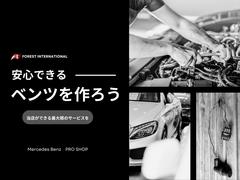 �������� ���������ƥ������̻��ͼ֡����饹�롼�ա������ȥҡ����������ѥե����ޥåȡ����ƥå��� 9571787A30251122W002 4