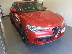 ���ƥ������ �����ɥ�ե��ꥪ 9572416A30250808W001 7