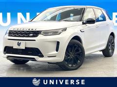 ���ɥ����С����ǥ������Х꡼���ݡ��ġ������ʥߥå����ӣš��У���������󥪡��ʡ�