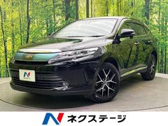 �ȥ西���ϥꥢ�����ץ�ߥ��ࡡ���������ʥӡ��Хå�����顡���ã��������Ÿ�