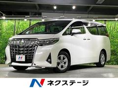 �ȥ西������ե����ɡ��������ء�ξ¦��ư�ɥ��������ʥӡ������ϥ����