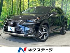 �쥯�������Σء��Σأ������衡�ɥѥå�������������᡼�����ʥ�