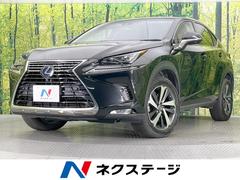 �쥯�������Σء��Σأ������衡�ɥѥå������������ӣĥʥӡ������ϥ����