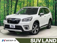 ���Х롡�ե��쥹���������ɥХ󥹡��ر�֡�����롼�ա��볦��ĥ