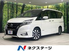 ����������ʡ��ϥ����������������ץ��ѥ����åȥ��ǥ�����󡡥��꡼�ʥӡ����ʥ�˥���