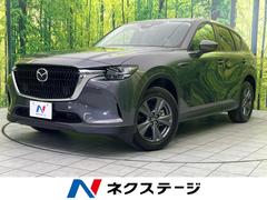 �ޥĥ����ãءݣ������أġ��ӥѥå����������������������ʥӡ������ϥ����