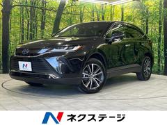�ȥ西���ϥꥢ���ϥ��֥�åɡ��ǡ��쥶���ѥå��������Хå�����顡�ȥ西�����եƥ�����