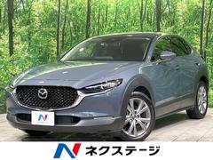 �ޥĥ����ãءݣ����������ӡ��ץ������ƥ��֡��ġ���󥰥��쥯����󡡶ر��