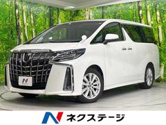 �ȥ西������ե����ɡ��������ӡ�����롼�ա������ӣĥʥӡ������ﳲ�ڸ������ƥ�