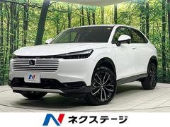 �ۥ�����������롡�塧�ȣţ֡��ڡ���Ͽ��̤���Ѽ֡����������ǥ����ץ쥤