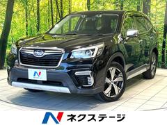 ���Х롡�ե��쥹���������ɥХ󥹡����ףġ����������ʥӡ��Хå�