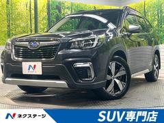 ���Х롡�ե��쥹���������ɥХ󥹡��ϥ��֥�åȡ����ףġ�����롼��