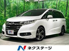 �ۥ�������ǥå��������֥��롼�ȡ����͡������ʥӡ����ʥ�˥���