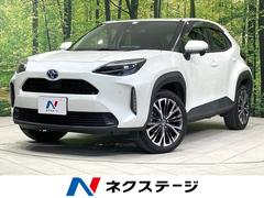 �ȥ西����ꥹ���������ϥ��֥�åɣڡ������եƥ����󥹡������ǥ����ץ쥤�����ǥ������Хå������