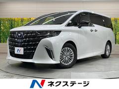 �ȥ西������ե����ɥϥ��֥�åɡ��ء��������������ǥ����ץ쥤�����ʥ�˥����������ϥ����