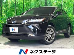 �ȥ西���ϥꥢ���ϥ��֥�åɡ��ڡ�������������������ʥӡ������ϥ���顡�ʣ£̥������