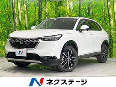�ۥ�����������롡�塧�ȣţ֡��ڡ������ʥӡ��Хå������