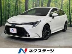 �ȥ西����������ġ���󥰡��ϥ��֥�åɡ����֥�Х��ӡ������������ǥ����ץ쥤�����ǥ������ʥӥ��å�