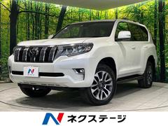 �ȥ西�����ɥ��롼�����ץ�ɡ��ԣء��̥ѥå����������;衡����롼��