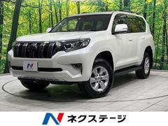 �ȥ西�����ɥ��롼�����ץ�ɡ��ԣء��̥ѥå����������ףġ�����롼��