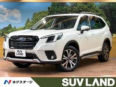 ���Х롡�ե��쥹�����������Х󥻥쥯�������Ͽ��̤���Ѽ֡������ʥӡ��볦��ĥ