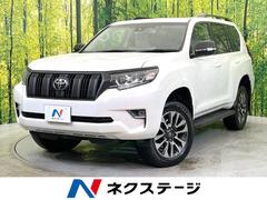 �ȥ西�����ɥ��롼�����ץ�ɡ��ԣء��̥ѥå��������ر�֡�����롼��