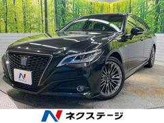 �ȥ西�����饦��ϥ��֥�åɡ��ǡݥ��������ƥ��֡�����������������᡼�����ʥӡ��ѥΥ�ߥå��ӥ塼��˥���