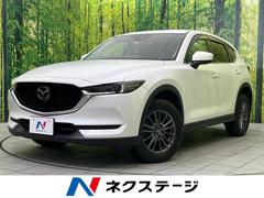 �ޥĥ����ãءݣ��������ӡ����ޡ��ȥ��ǥ�����󡡽����������ʥӡ������ϥ����