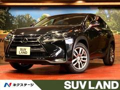 �쥯�������Σء��Σأ����������ɥѥå�������������������ʥӡ��Хå������