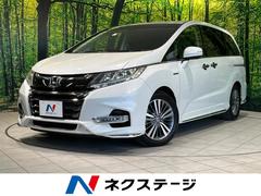 �ۥ�������ǥå����ϥ��֥�åɡ��ϥ��֥�åɥ��֥��롼�ȡ��ţإۥ�����󥷥󥰡����ʥ�˥����������ʥ�