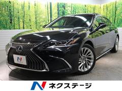�쥯�������ţӡ��ţӣ������衡�С������̡��ࡼ��롼�ա������������᡼�����ӣĥʥ�
