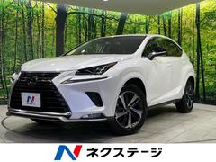 �쥯�������Σء��Σأ����������ѥ��������å������ףġ����������������磻�ɥʥ�