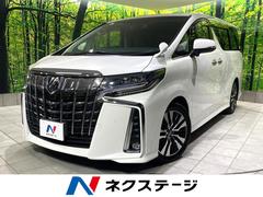 �ȥ西������ե����ɡ��������ӡ��åѥå��������ر�֡�����롼��