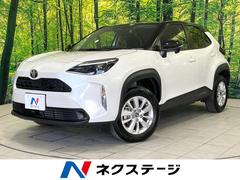�ȥ西����ꥹ���������ǡ�������������ǥ����ץ쥤���Хå�����顡�����եƥ�����