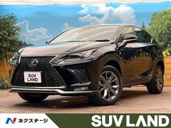 �쥯�������Σء��Σأ������衡�ƥ��ݡ��ġ�����롼�ա����������������ʥ�