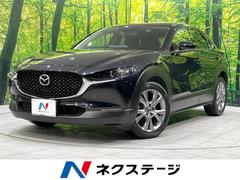 �ޥĥ����ãءݣ����������ӡ��ץ������ƥ��֡��ġ���󥰥��쥯����󡡽����ӣĥʥ�