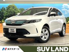�ȥ西���ϥꥢ�������쥬�󥹡��ر�֡�������������ʥӡ��Хå������