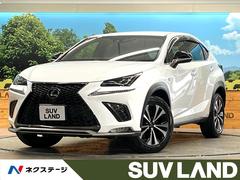 �쥯�������Σء��Σأ��������ƥ��ݡ��ġ��ر�֡���������������磻�ɥʥ�
