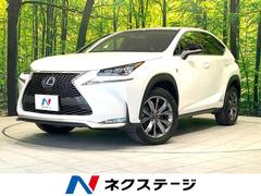 �쥯�������Σء��Σأ������衡�ƥ��ݡ��ġ��᡼�����ʥӡ�����̣ţĥإå�